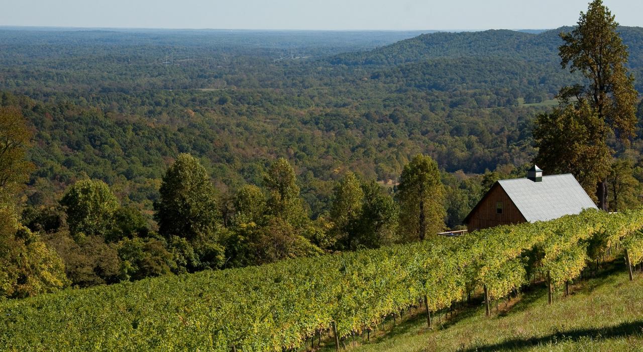 在弗吉尼亚州温彻斯特附近的 Chester Gap 酒庄欣赏弗兰特罗亚尔如画的风光