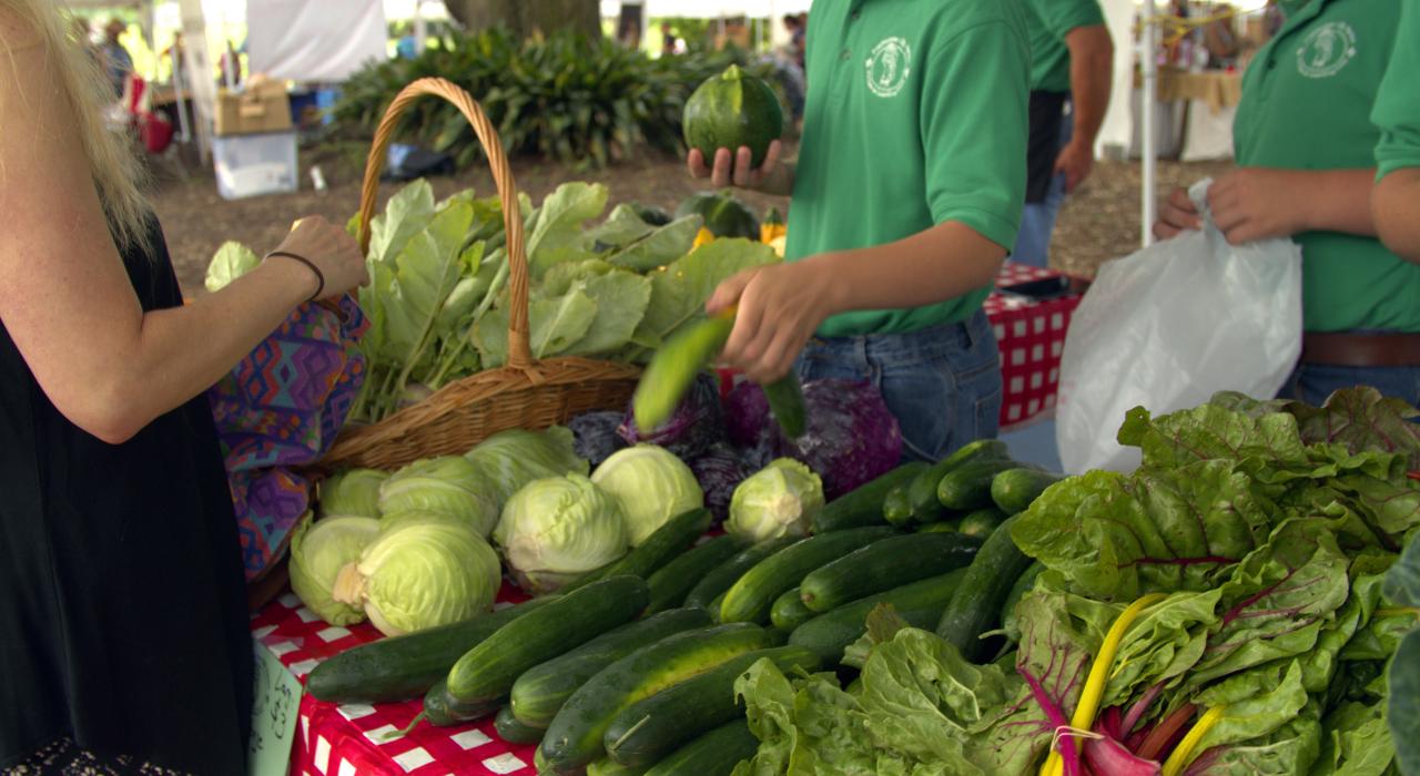 在路易斯安那州拉斐特当地的市场购物