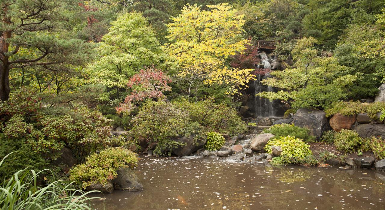 伊利诺伊州罗克福德安德森日本花园的美丽桥梁