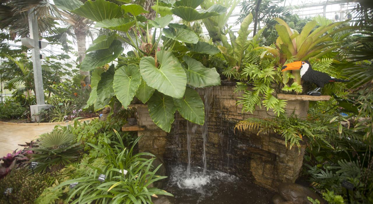 伊利诺伊州罗克福德尼古拉斯温室花园的温室花房