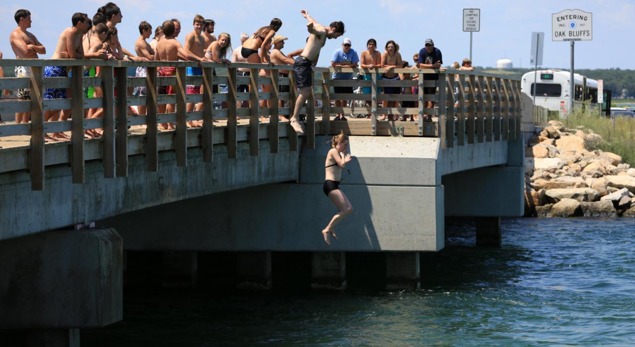 在马萨诸塞州玛萨葡萄园岛的橡树崖游泳