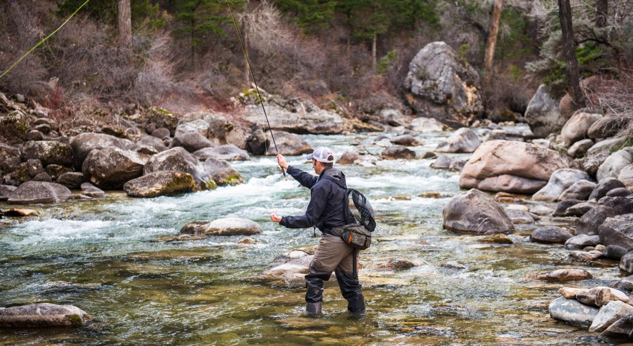 在一条清浅潺潺流动的溪流中钓鱼