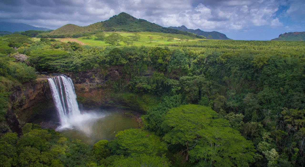美丽的森林瀑布