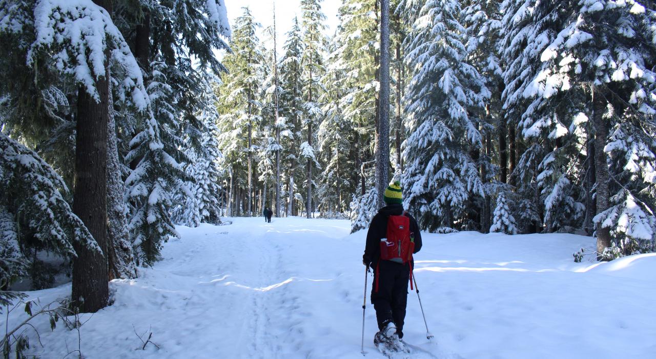 穿雪鞋穿越层峦叠嶂的森林