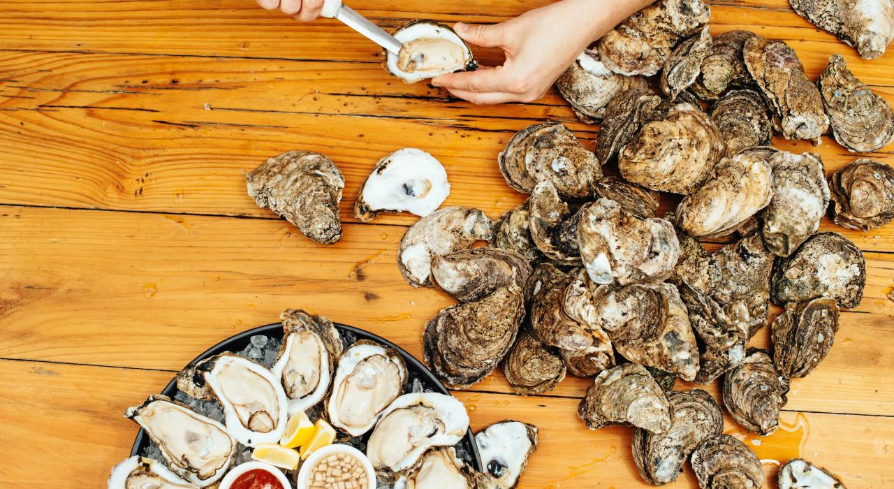 纵享新鲜的海湾牡蛎