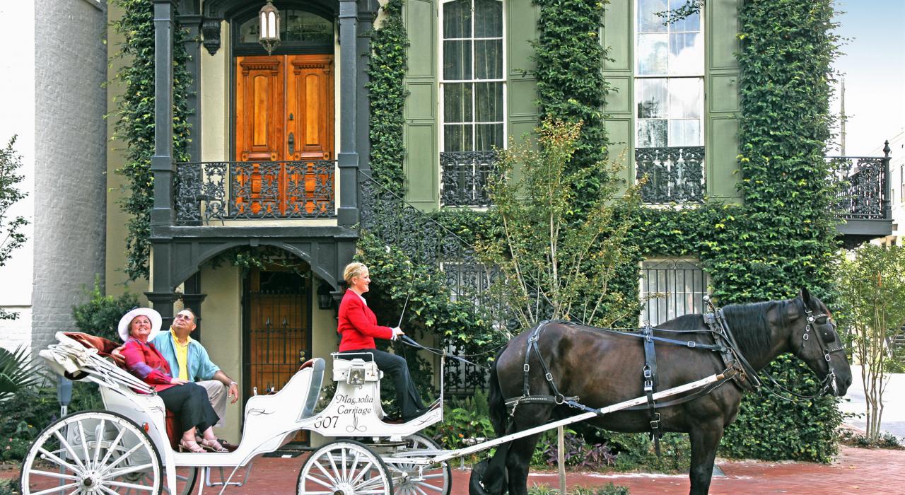 坐在马车中观光