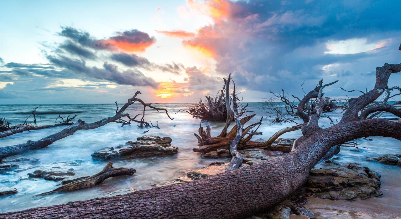 Sunrise at Black Rock Beach in Big Talbot Island State Park