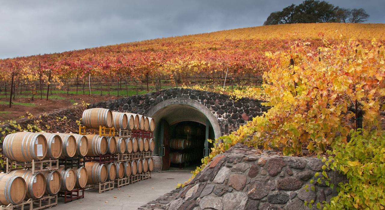 坐落于肯伍德葡萄园山坡上的葡萄酒窖