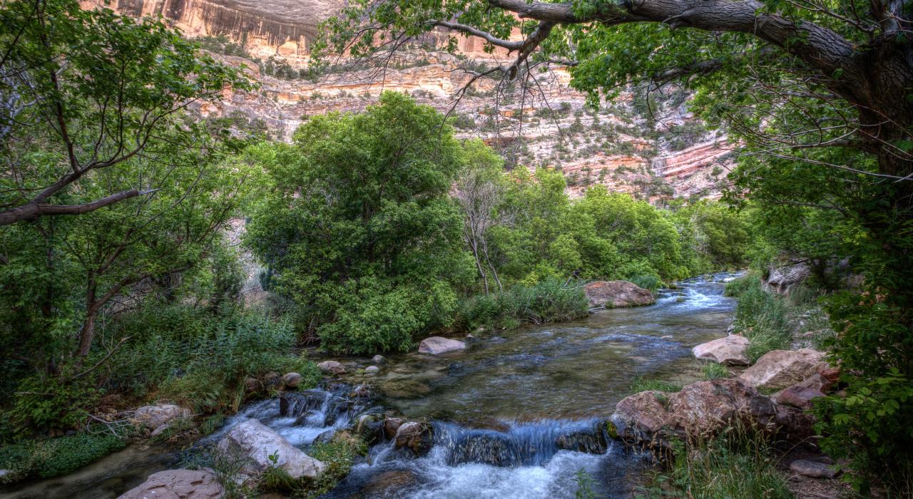 Exploring the Jones Hole Trail