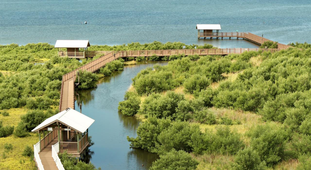 Boardwalk trail at South Padre Island Birding and Nature Center