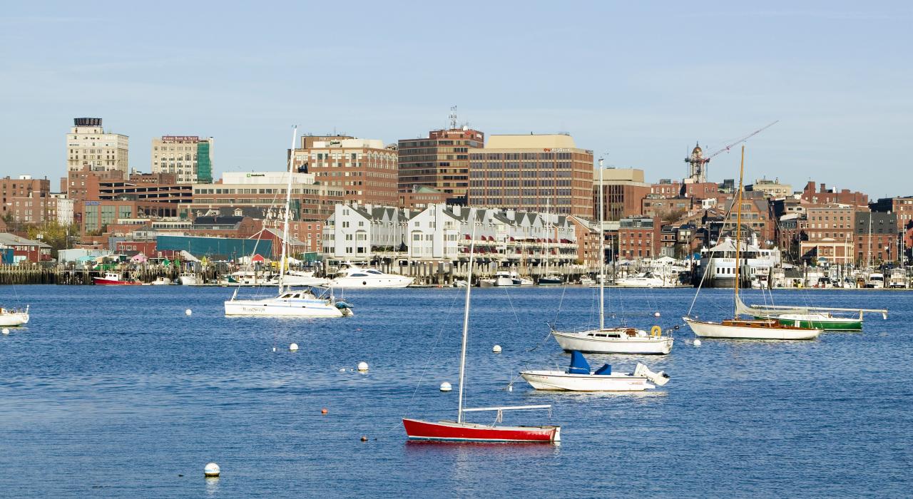 停泊的船只以及背景中的城市天际线