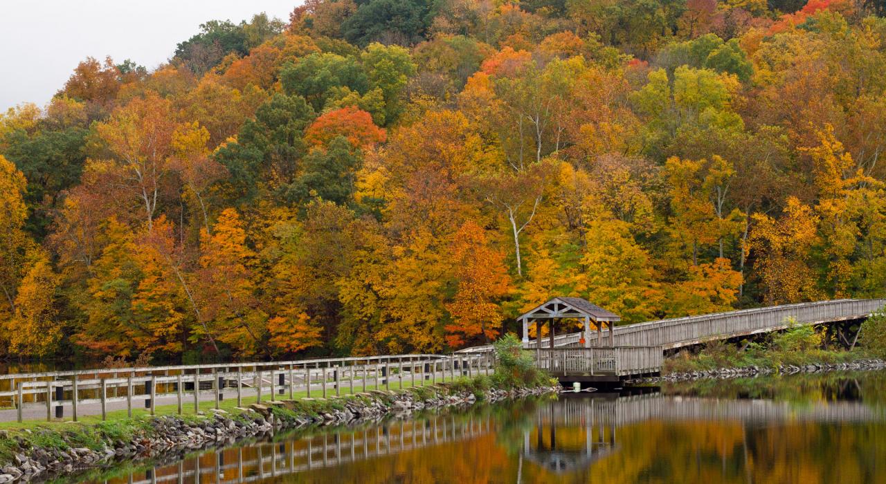 Cheat Lake Park 公园步道旁的秋叶美景 Cheat Lake Park 公园步道旁的秋叶美景