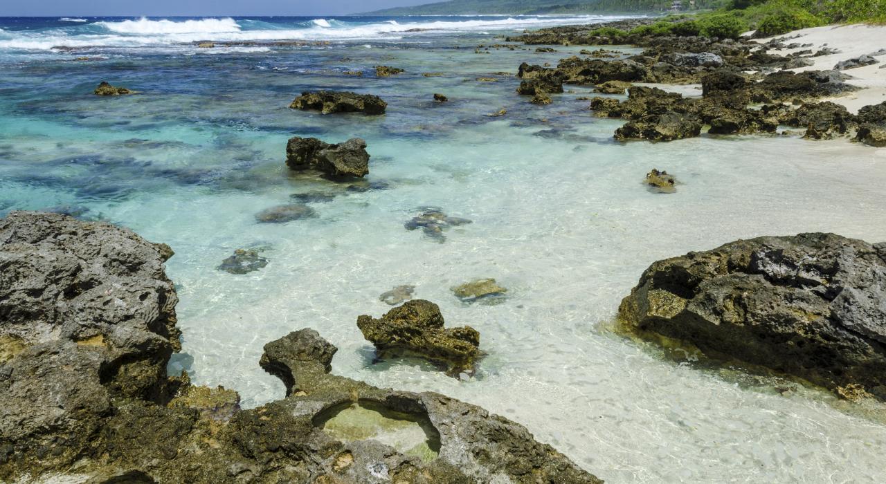 从晶莹清澈的海水中生长出的礁石