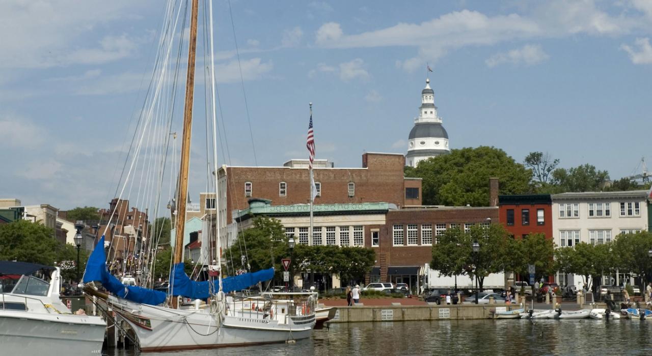 在市区海港，将美景尽收眼底