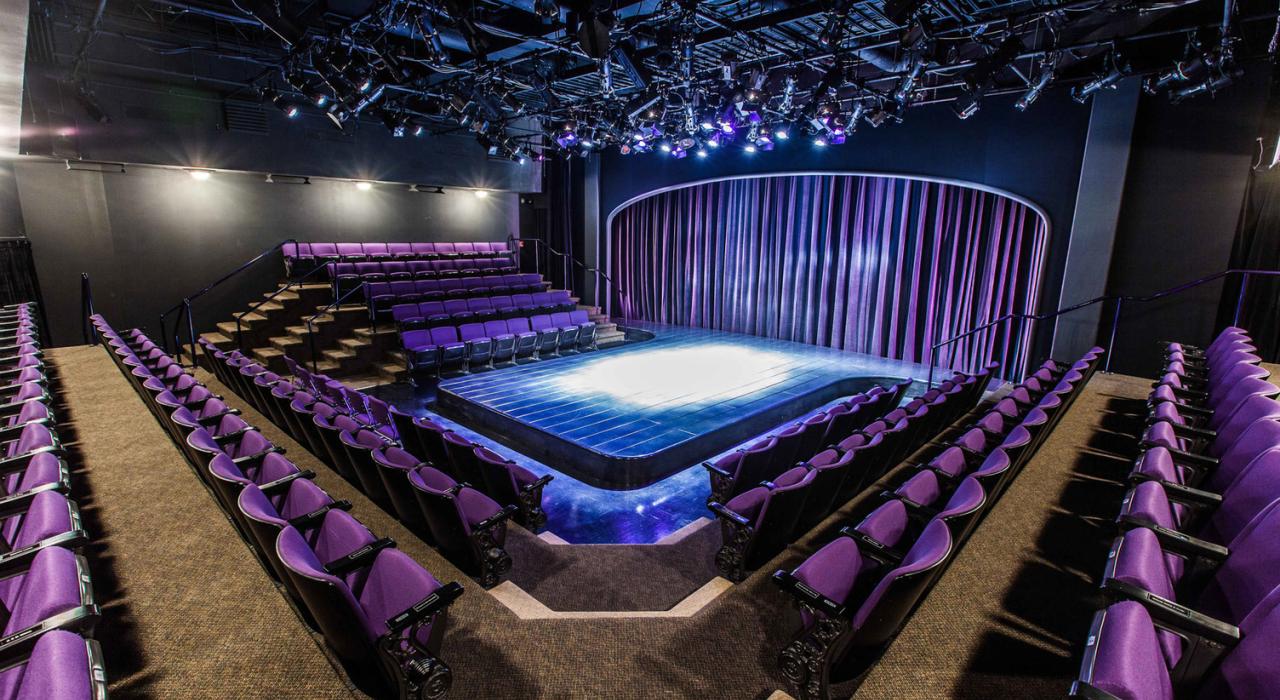 Interior of the Purple Rose Theatre