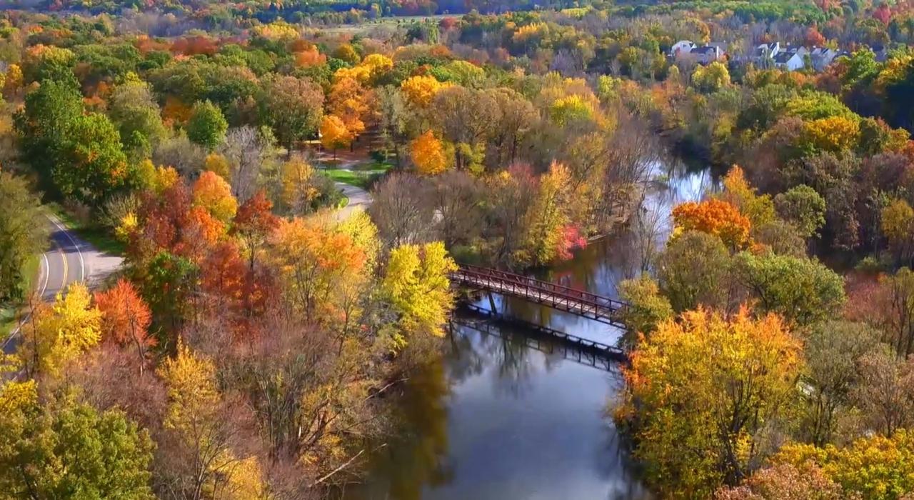 Golden-tipped trees clustered along the Huron River