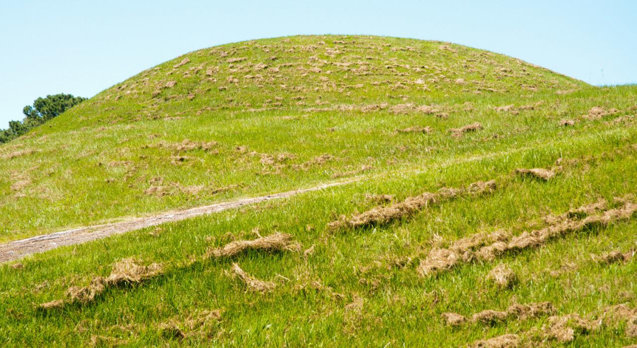 密西西比州纳奇兹东北部的 Emerald Mound Site