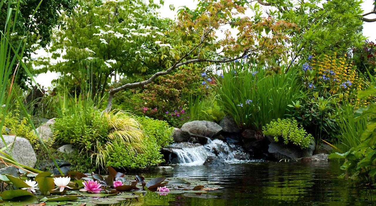 海莱西塔科植物园中一处静谧的泻湖