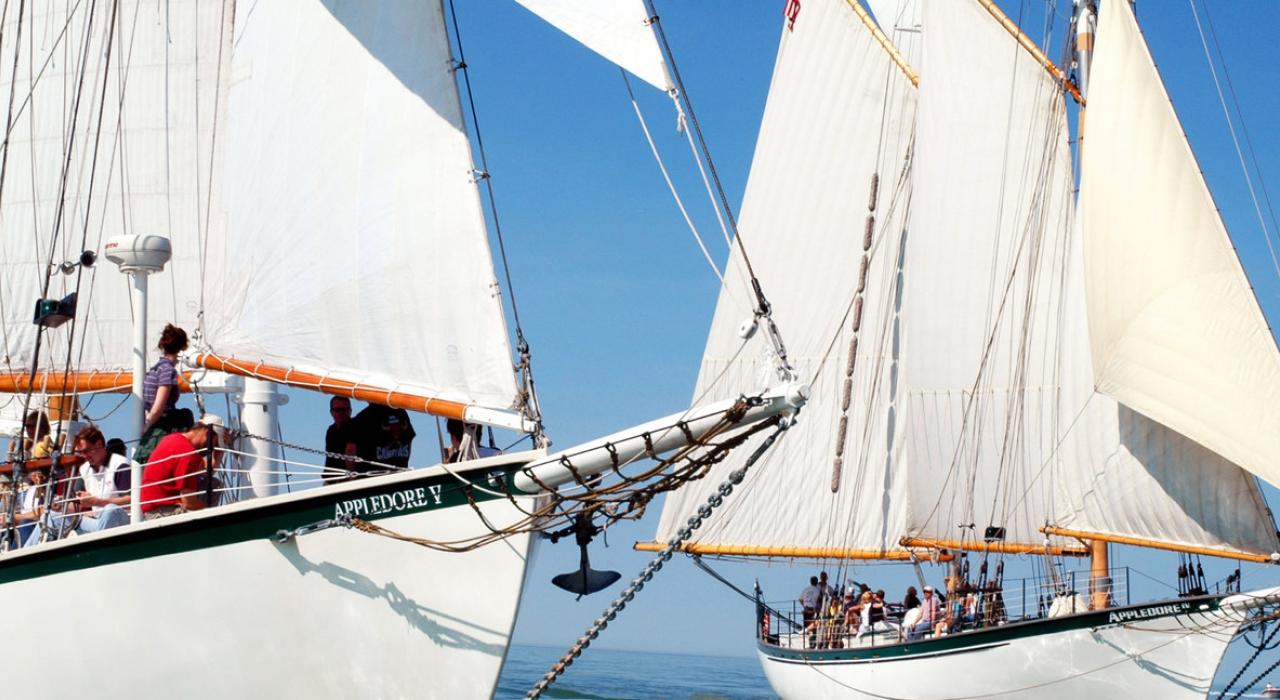 BaySail’s impressive Appledore Tall Ships setting sail