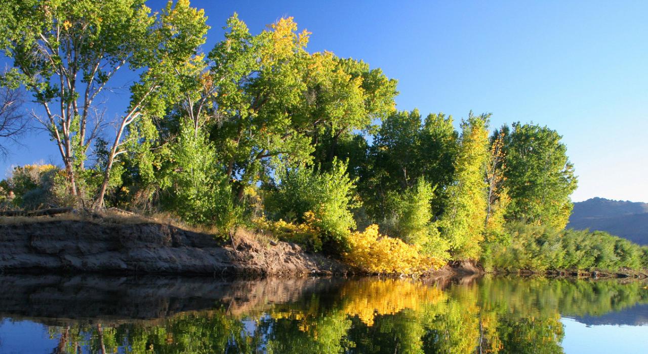 Scenic view of the calm Carson River 