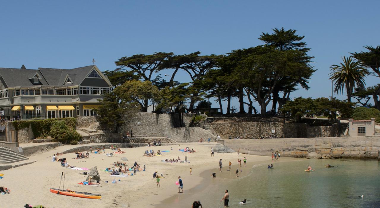 在太平洋丛林的情人崖享受日光浴