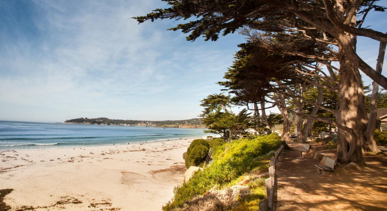 卡梅尔海滩上的白色沙滩和柏树