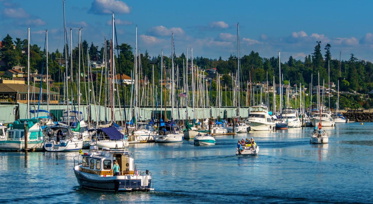 Des Moines Beach Park 公园的港口