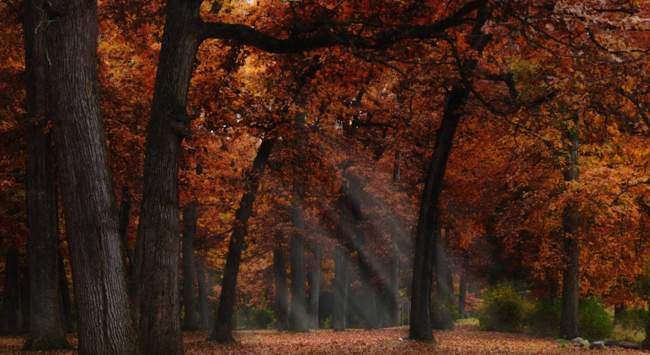 米勒姆公园的秋日景象