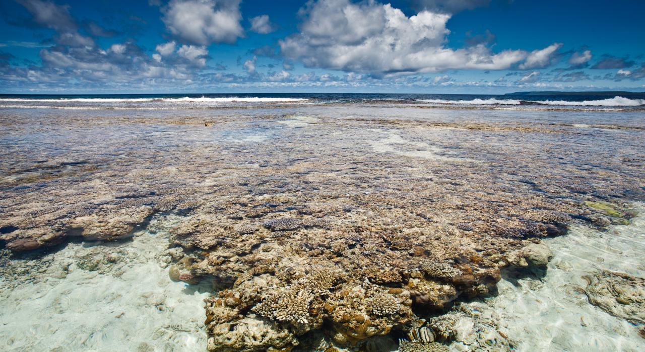 蓝洞洞穴潜水和卡拉贝拉钟乳石洞观光