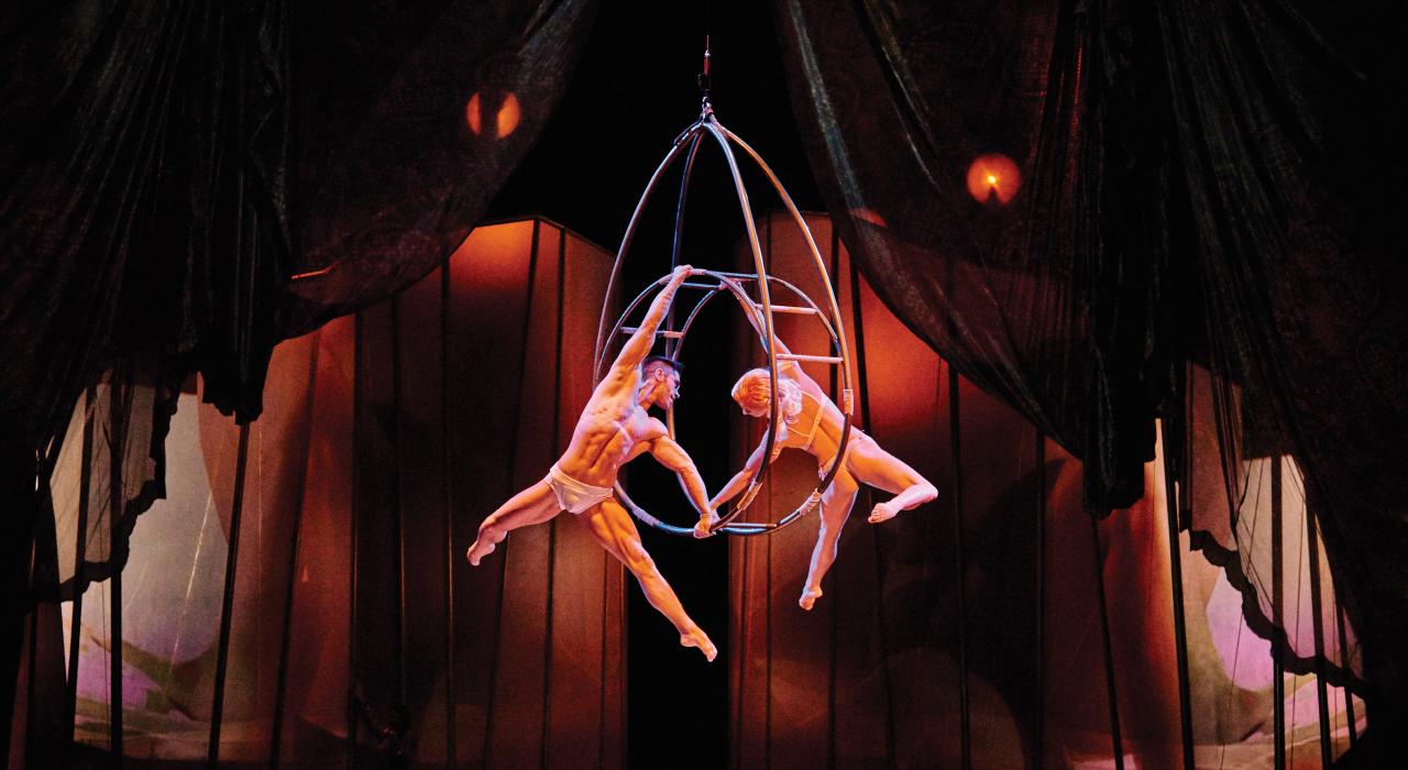 她梦见了他，她强烈的欲望在华丽、充满激情的空中幻想中尽情绽放。