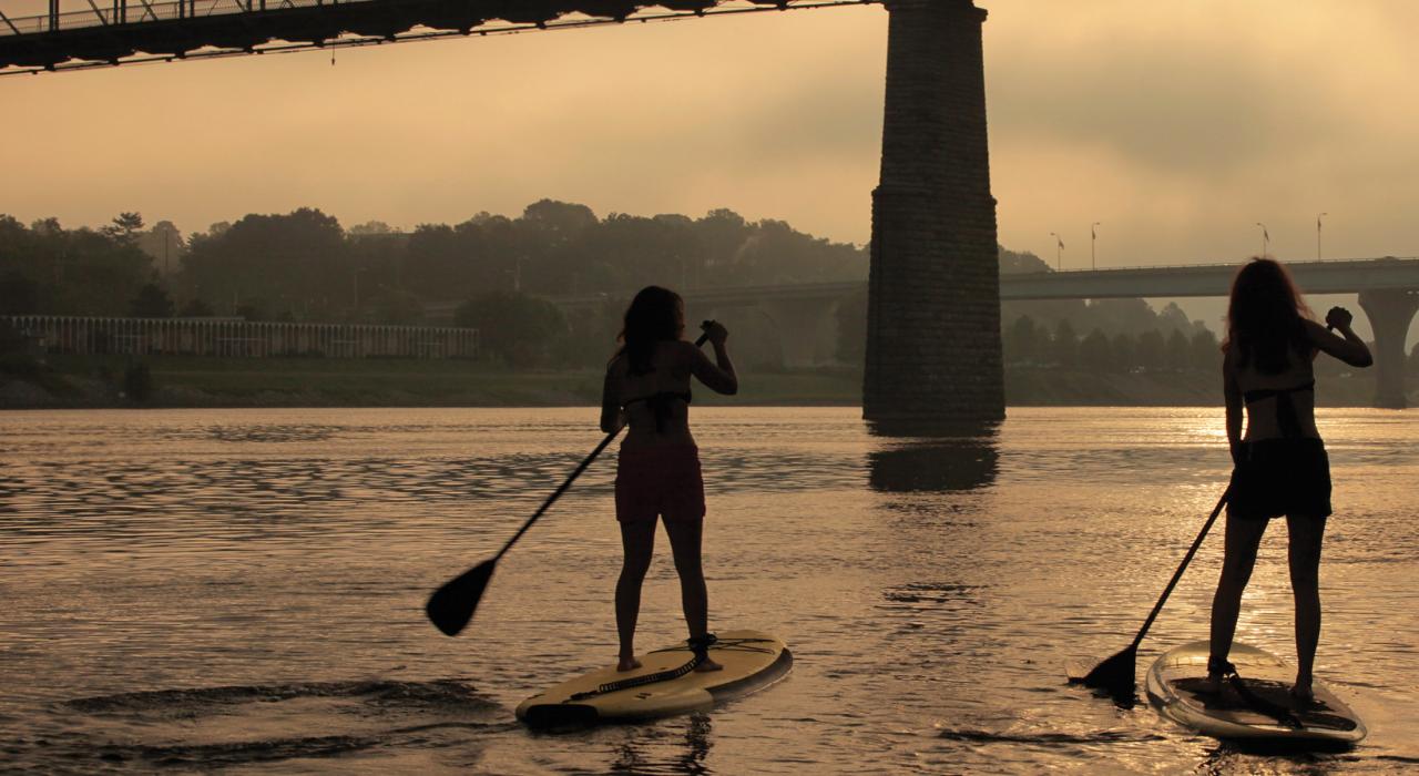 立式桨板爱好者沿田纳西河向核桃街大桥的方向前进