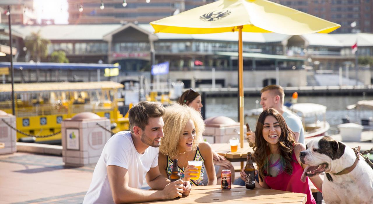 市中心的 Sail Pavilion 酒吧是品尝本地啤酒的好去处