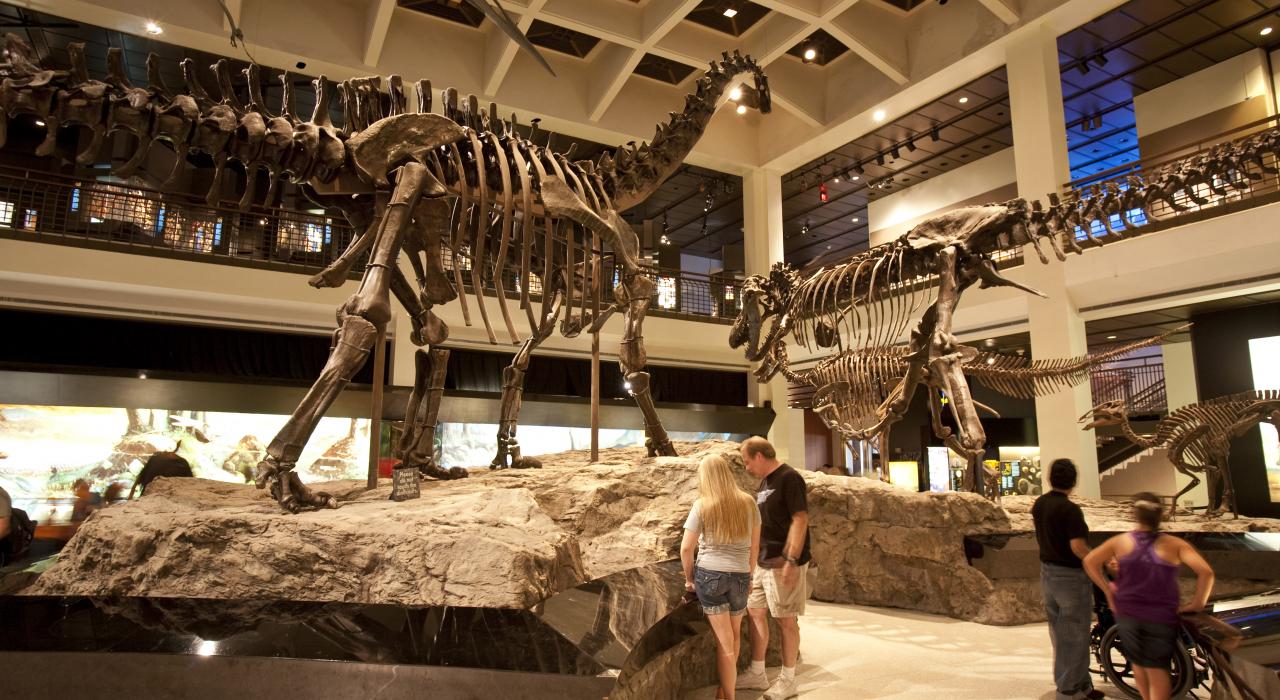 休斯敦自然科学博物馆的莫里安古生物大厅