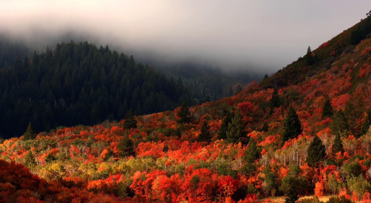 Autumn colors at sunrise Autumn colors at sunrise
