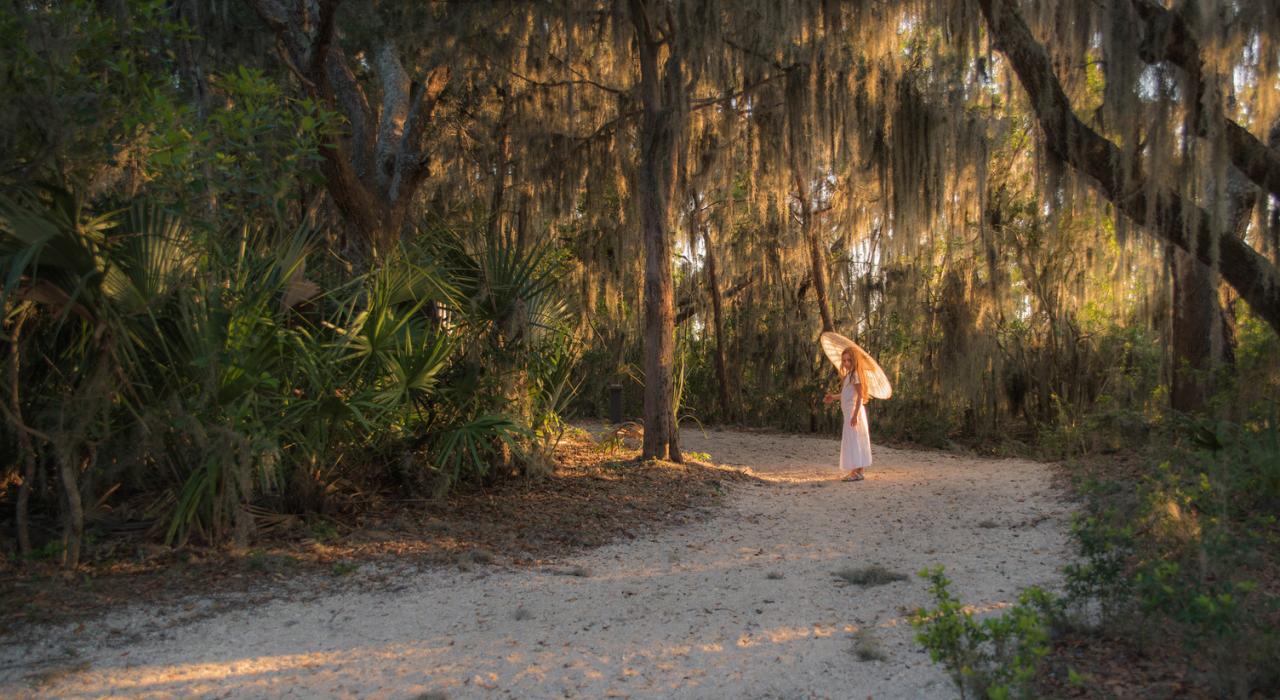 Drummond Point Park 公园内长满苔藓、适合全家一起探索的小径
