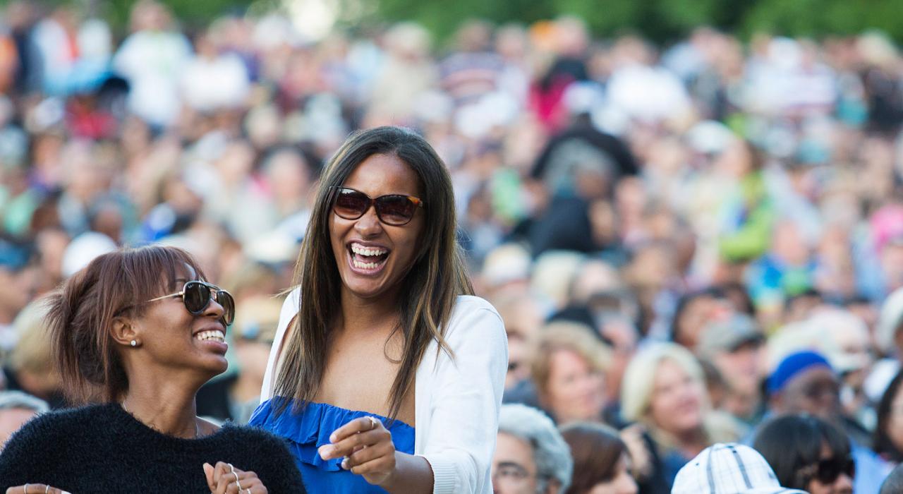 伊利诺伊州芝加哥蓝调音乐节上动人的旋律