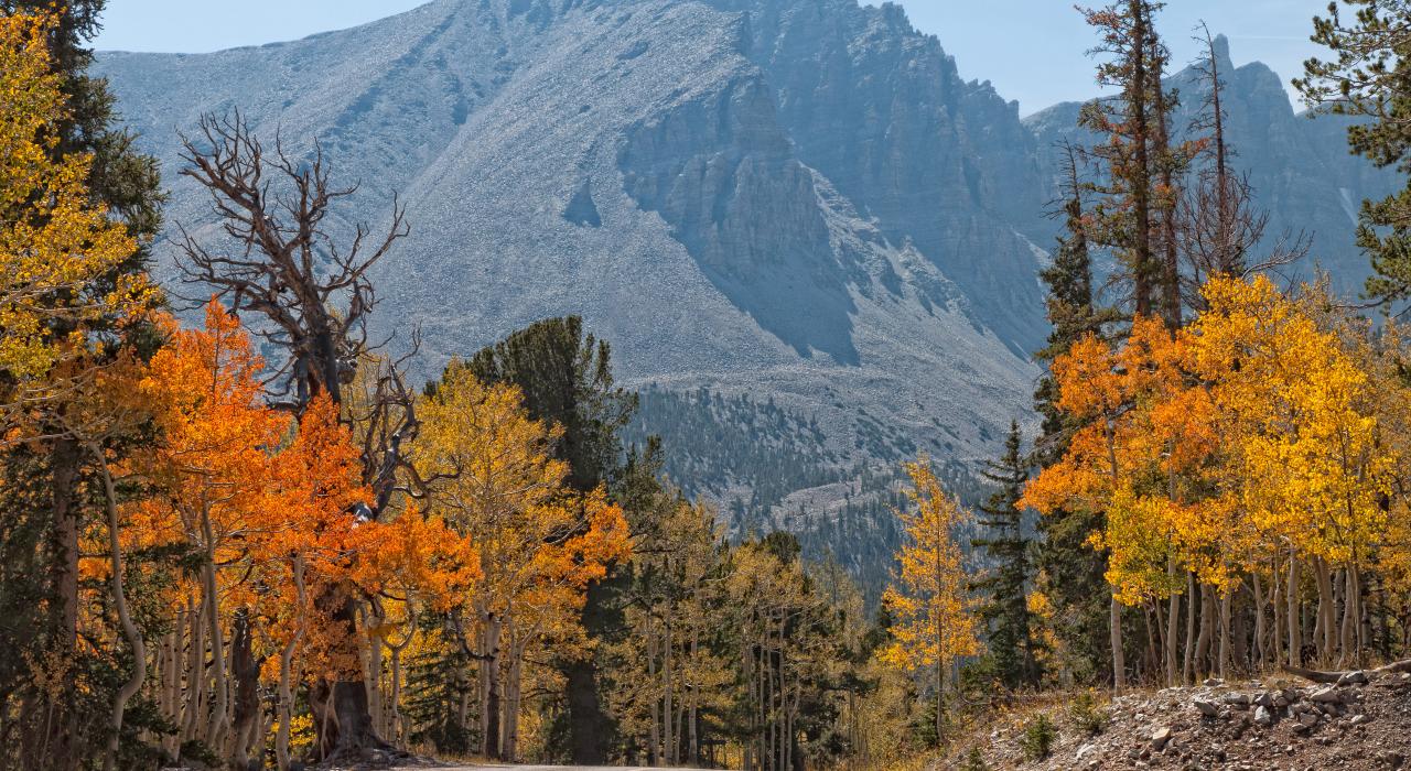 内华达州大盆地国家公园内植被点缀的惠勒峰