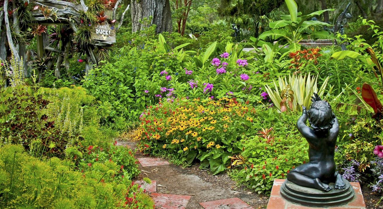 在南卡罗来纳州美特尔海滩附近的布鲁克格林花园中，仲夏植被生长繁茂