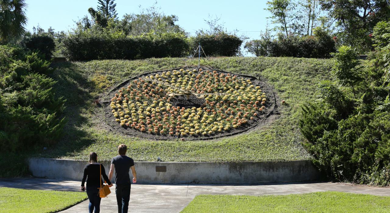 一对情侣在佛罗里达州奥兰多的哈利花园内欣赏活花钟