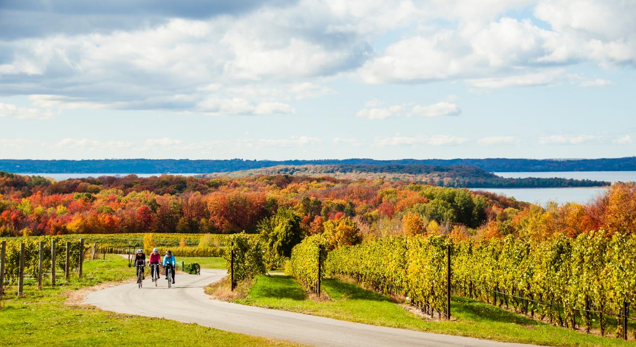 一条穿过密西根州特拉弗斯城葡萄园的自行车道沿途享有迷人秋景