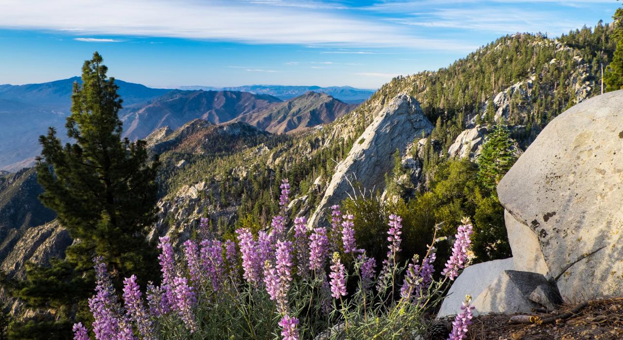 棕榈泉空中缆车