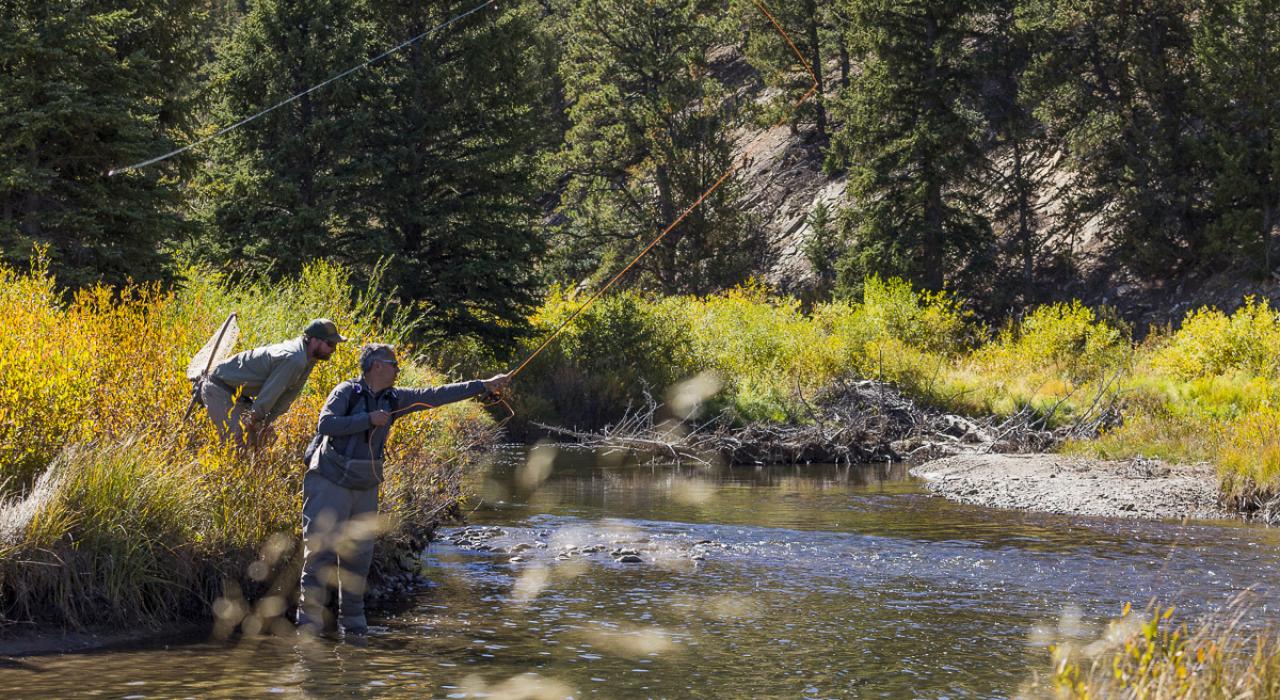 Fly-fishing anglers seeking to hook prize-winning trout
