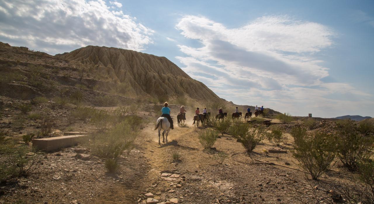开启一场马背之旅吧