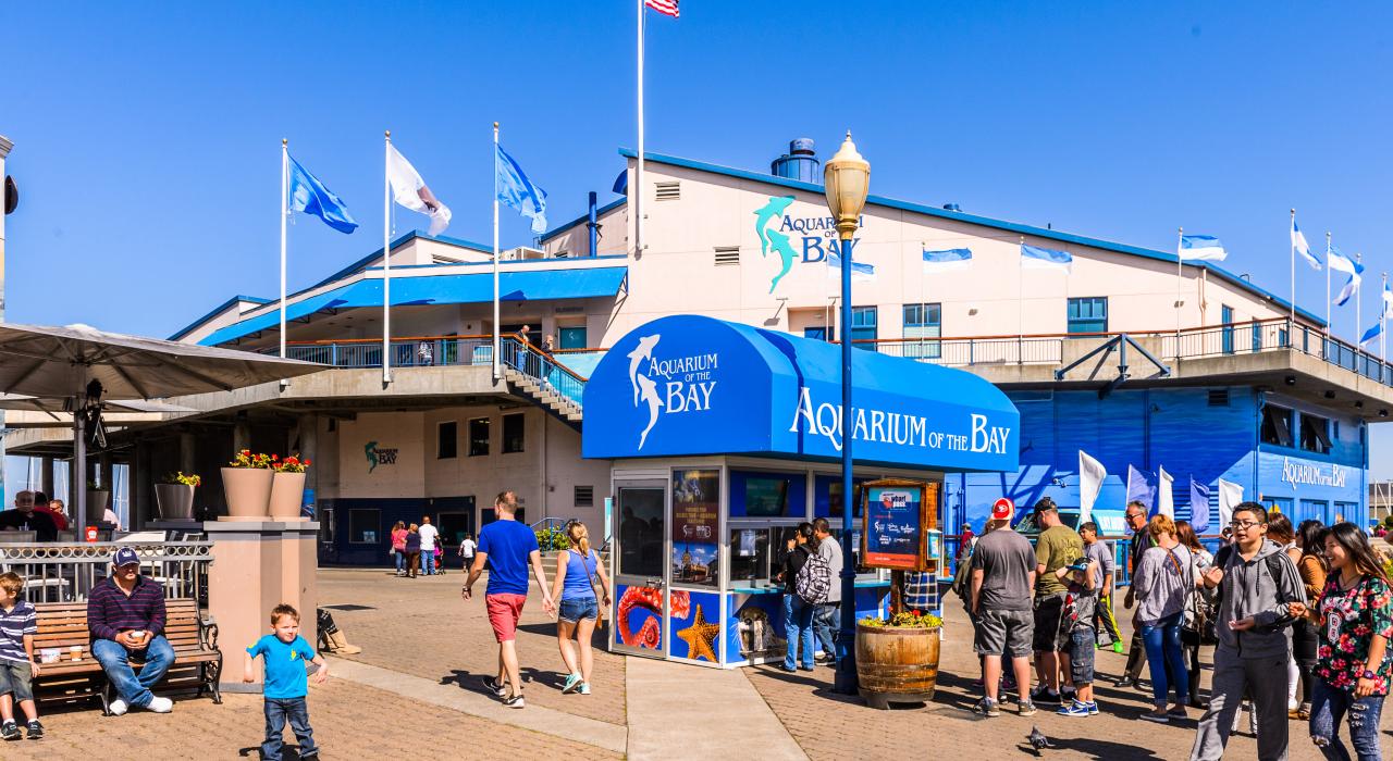 著名景点,在39号码头的旧金山海湾水族馆 著名景点,在39号码头的旧金山海湾水族馆