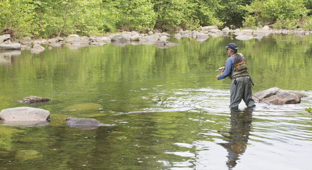 在哈曼的豪华小木屋垂钓