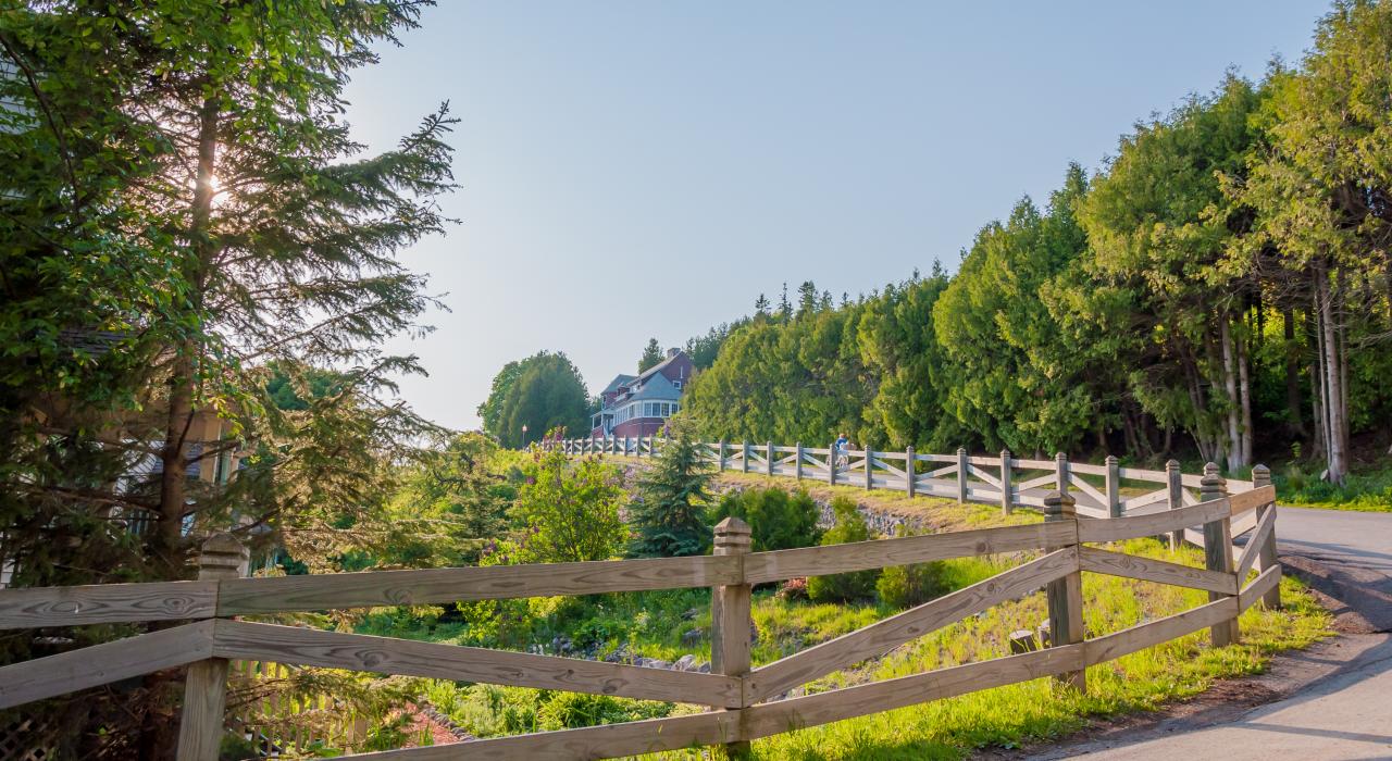边骑边欣赏风景 边骑边欣赏风景