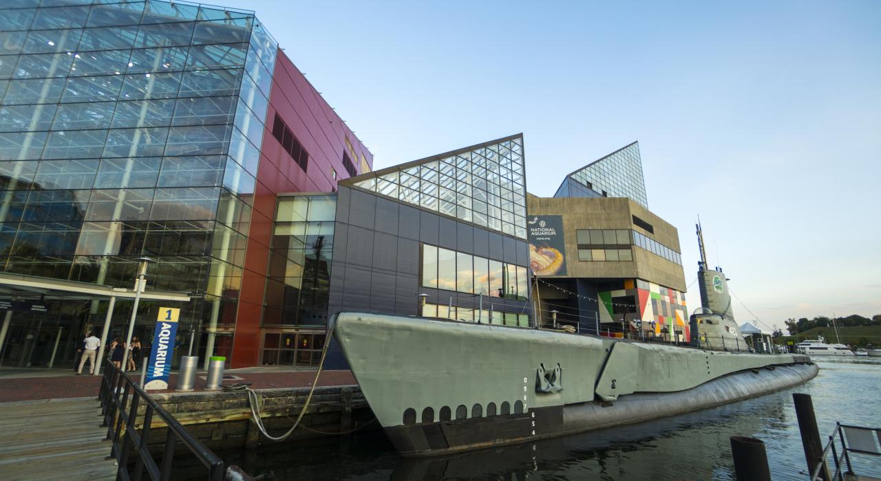 巴尔的摩水族馆