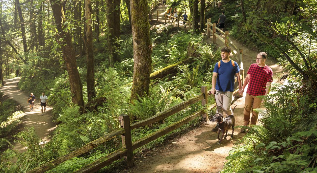 一对夫妇在森林公园的远足道上遛狗