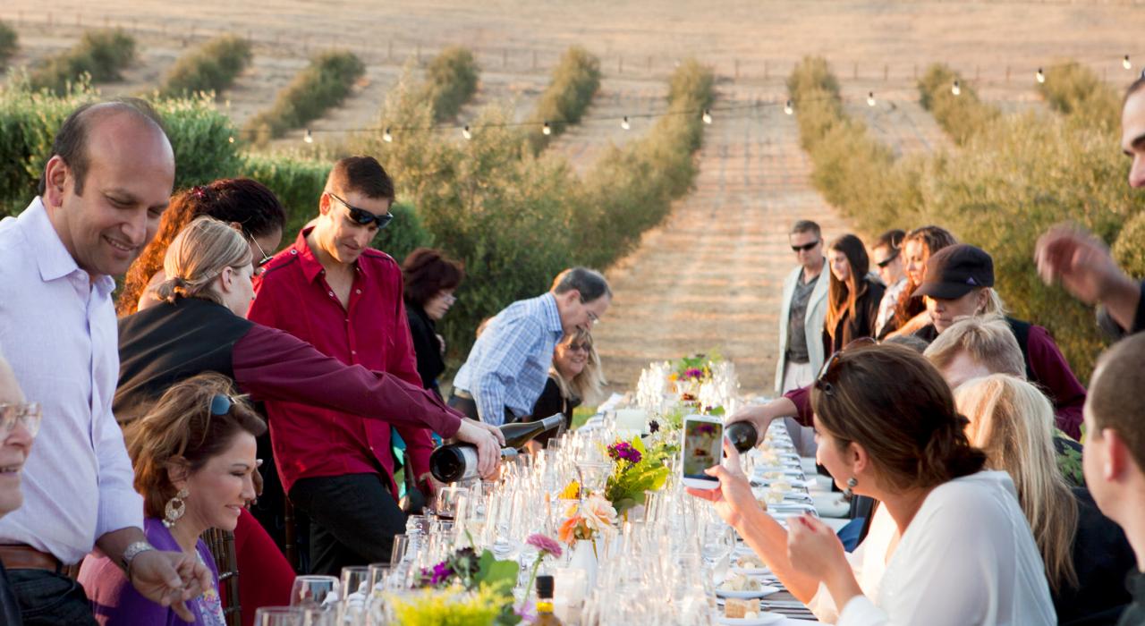 在葡萄园的晚宴上品尝当地葡萄酒