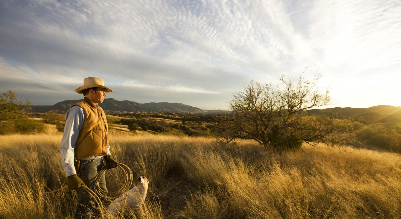 一名牛仔和他的爱犬